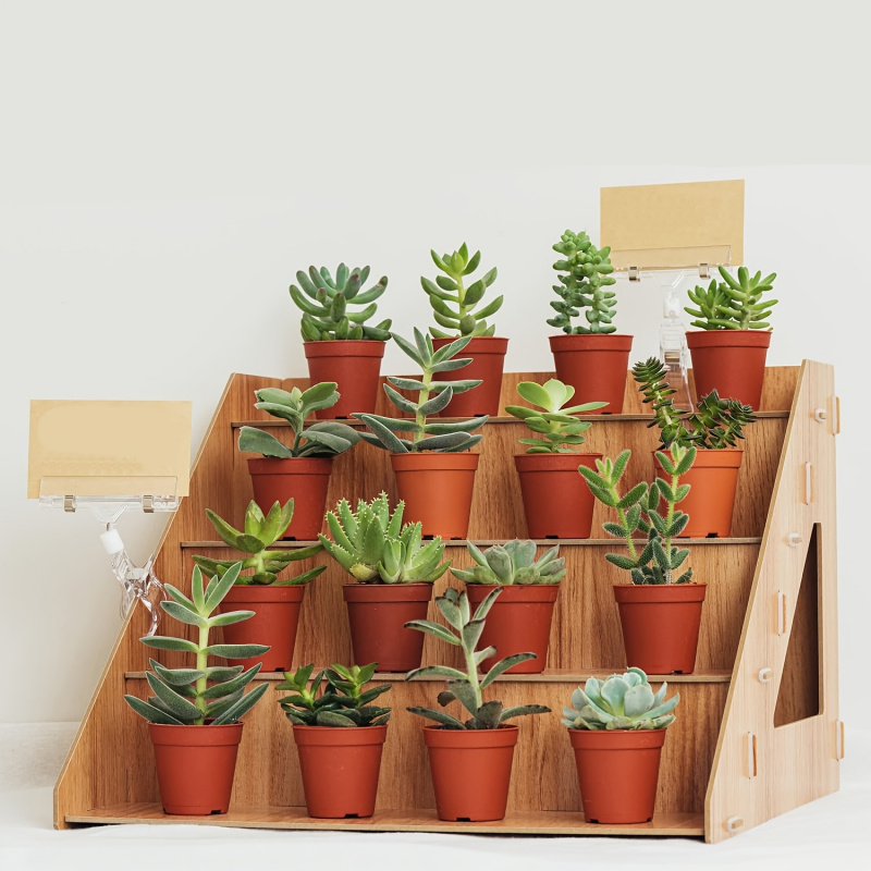 Pop Display Shelf - Деревянная стойка для демонстрации товаров, стенд
